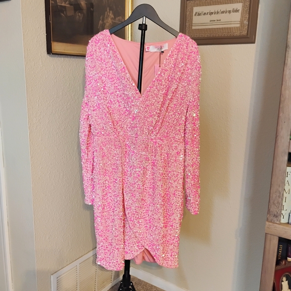 Southern Fried Chics "Viva La Dolly" Women's Size XXL Pink Sequin Shift Dress - Picture 2 of 8